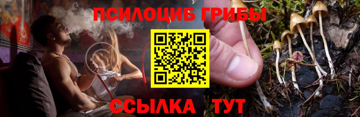 Галлюциногенные грибы Magic Shrooms Чехов